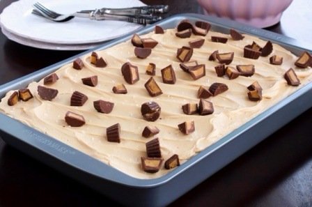 Chocolate Peanut Butter Snack Cake