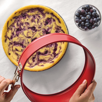 Cheesecake with blueberry swirl and red pan ring, bowl of blueberries beside.