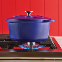 Blue pot on a gas stove burner with red background.
